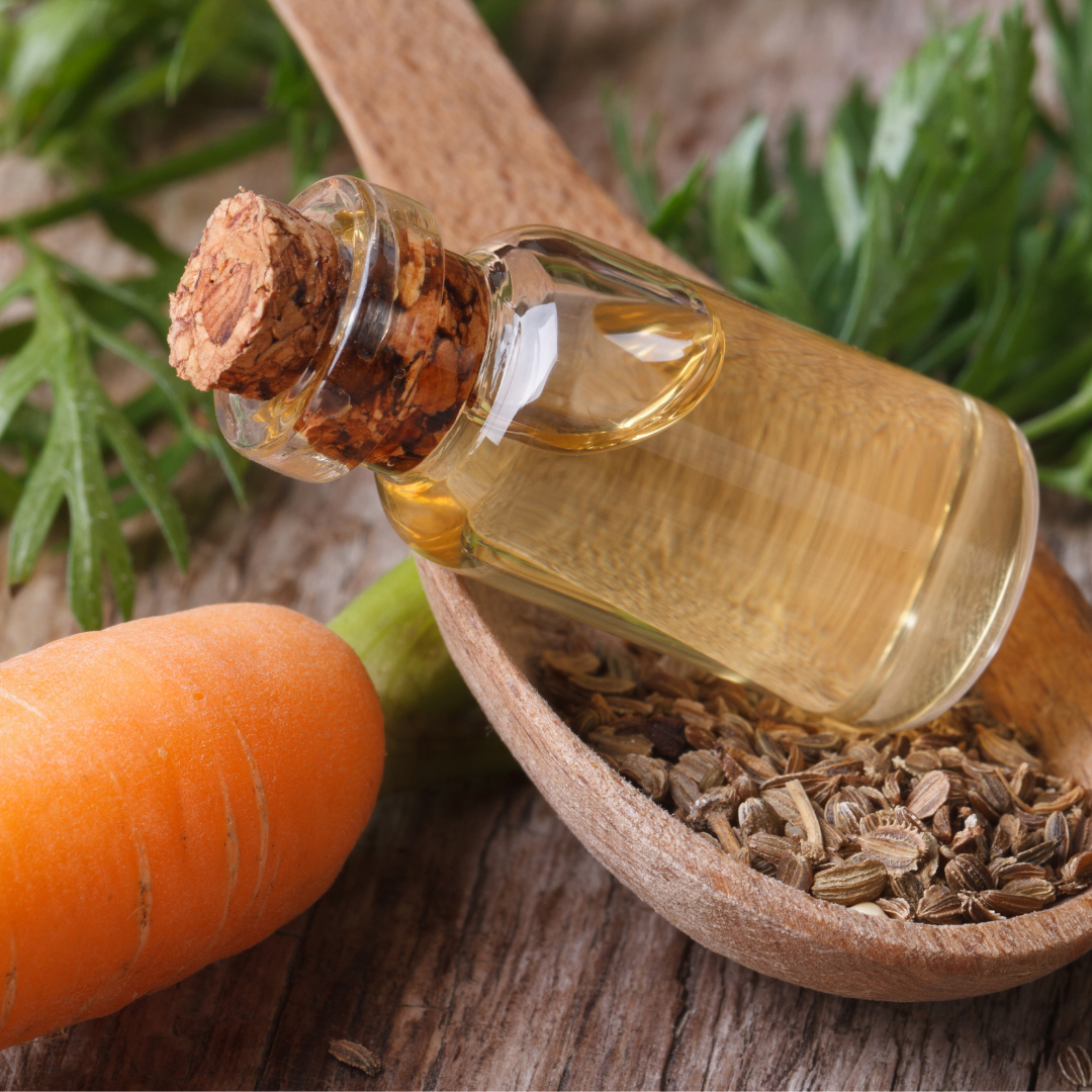 3 Types of Carrot Seed Oil in Natural Skin Care