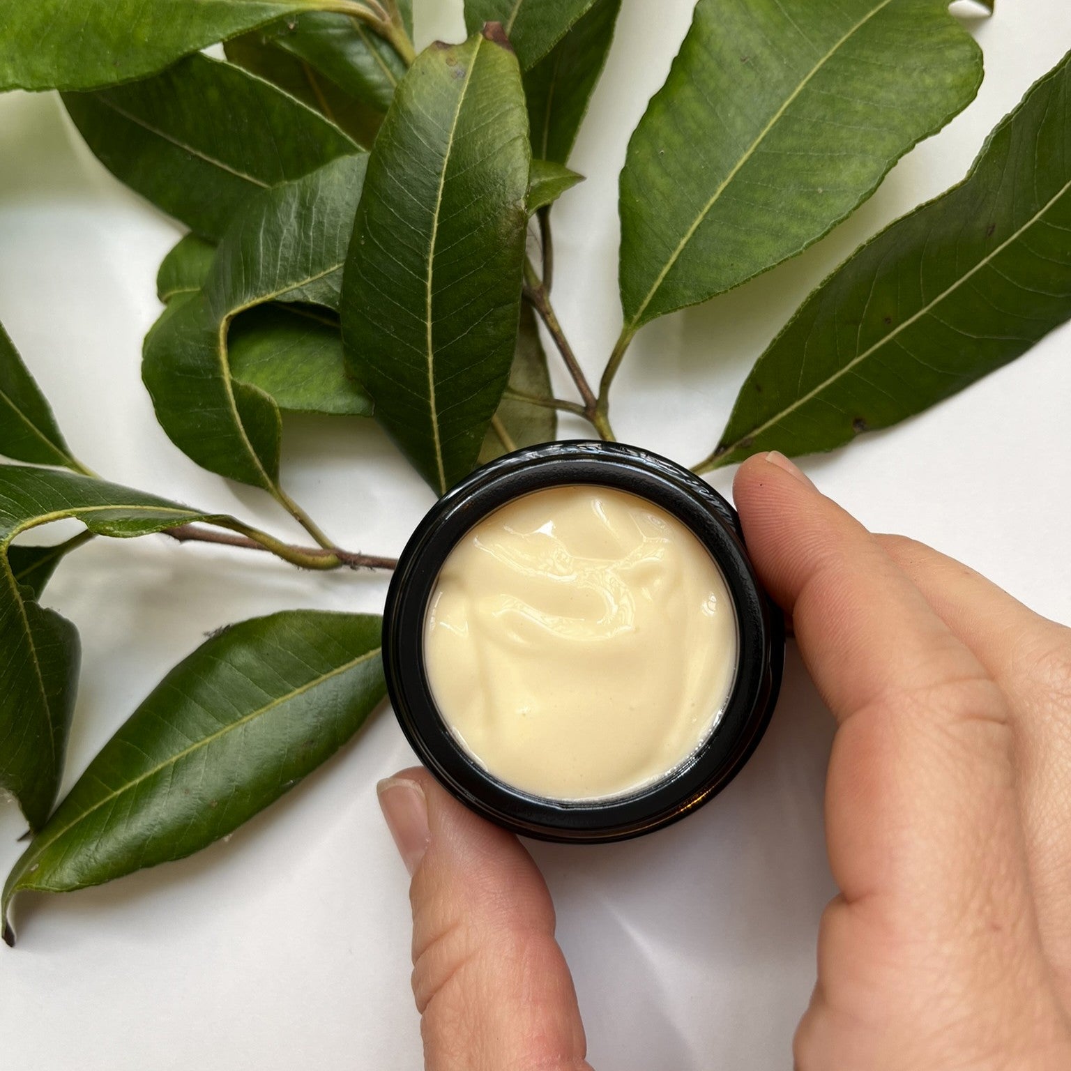 Herbal cream on the background of lemon myrtle leaves