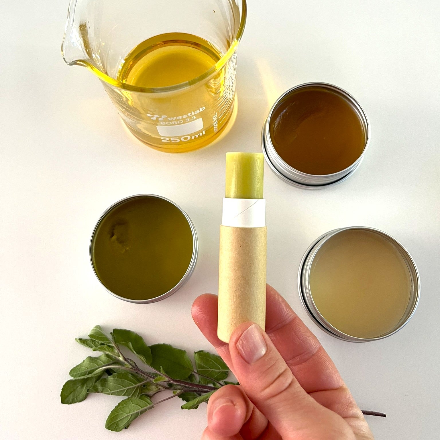 Advanced herbal oils and salves in-person workshop - 28-June-2026, Mullumbimby, NSW