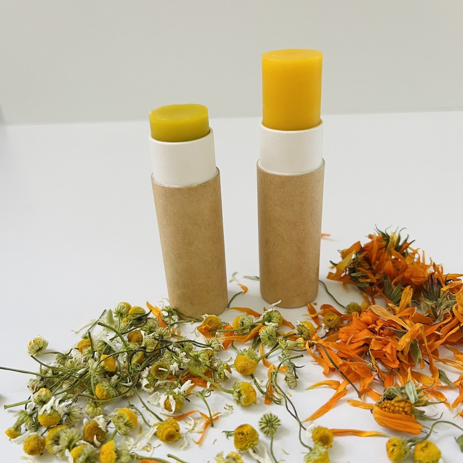 Advanced herbal oils and salves in-person workshop - 28-June-2026, Mullumbimby, NSW