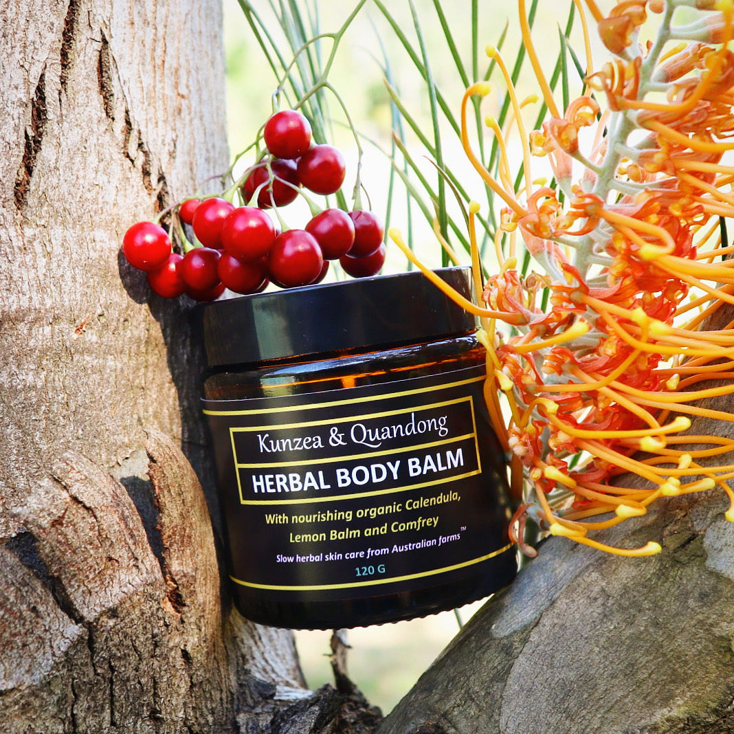 Kunzea & Quandong Herbal Body Balm