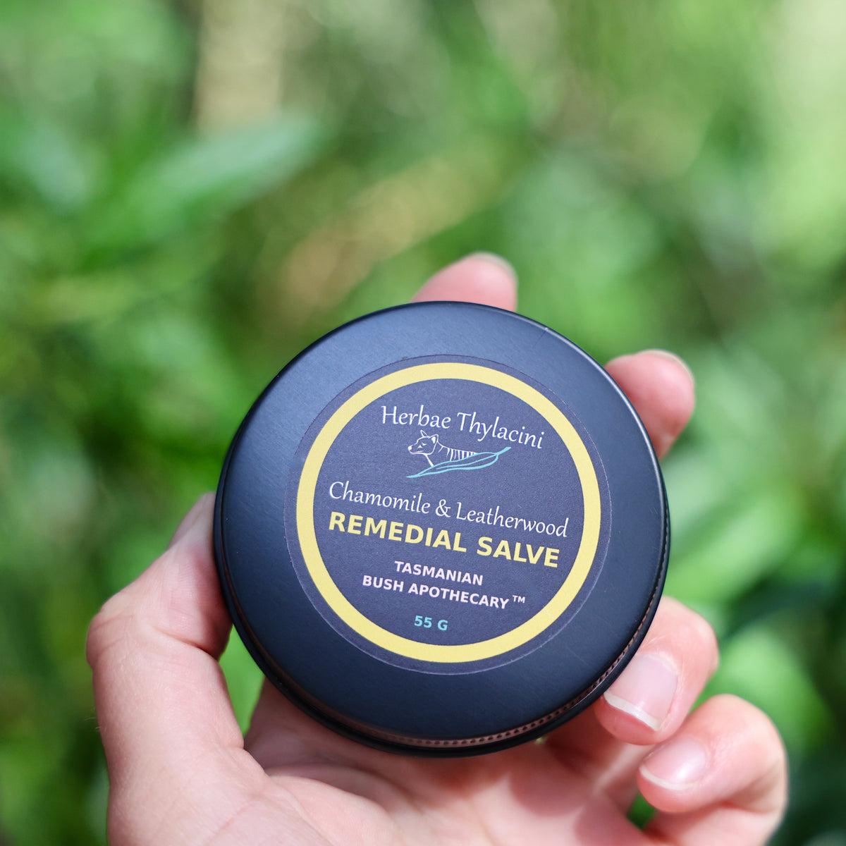 Chamomile and Leatherwood Salve