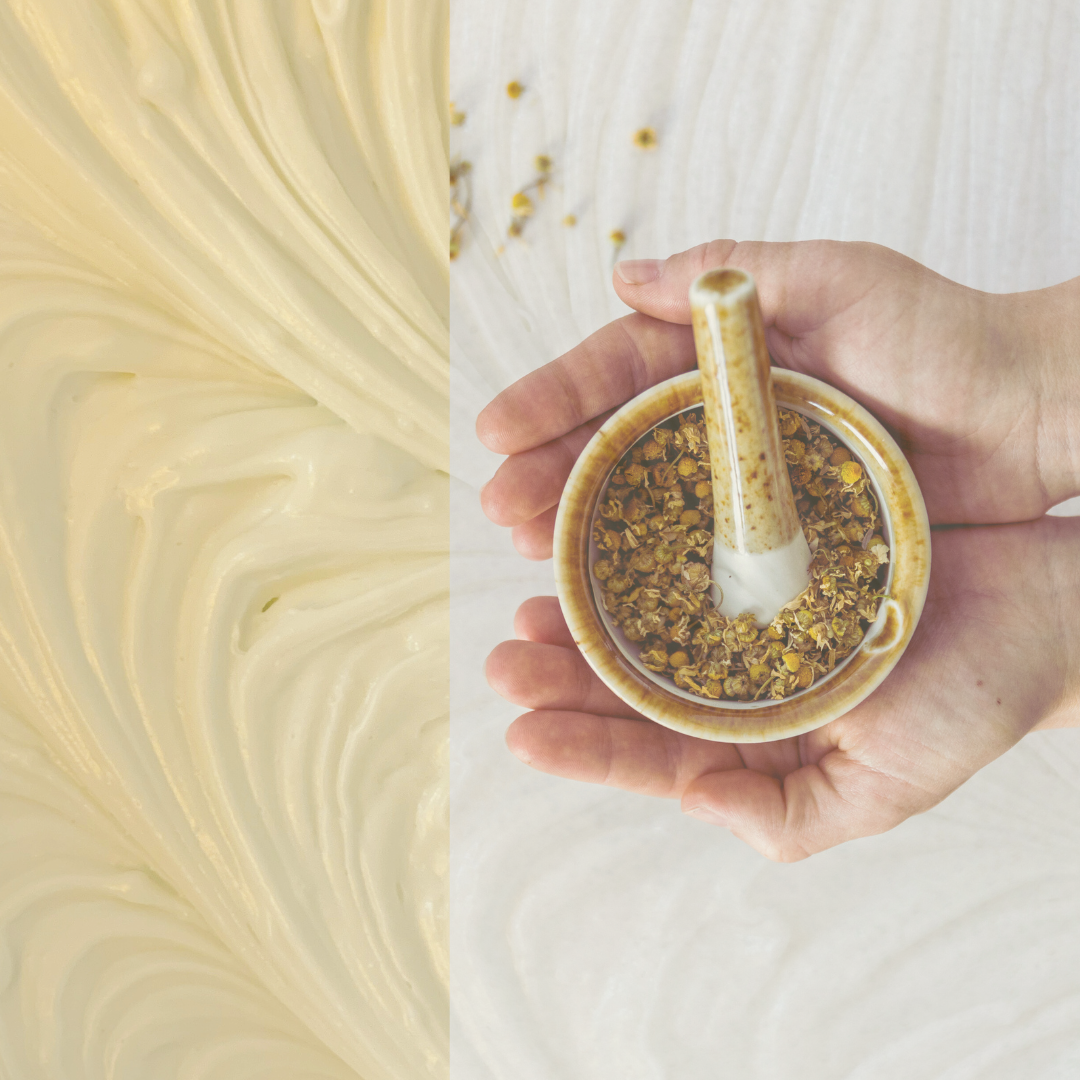 Herbal Skin Craft: Foundations of Herbal Skin Care Making - Accredited Online Course Series - July/August 2025