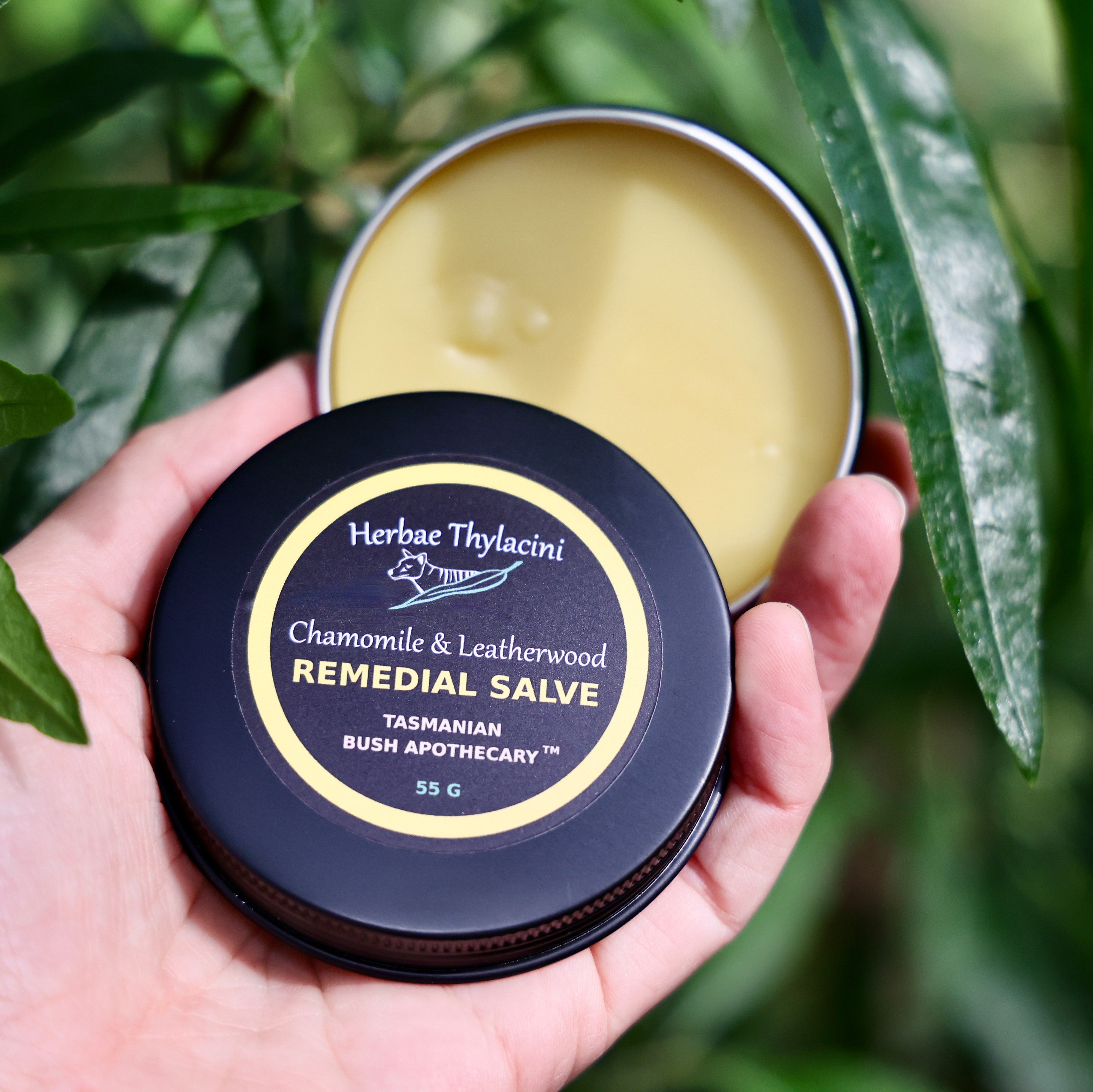 Chamomile & Leatherwood Remedial Salve