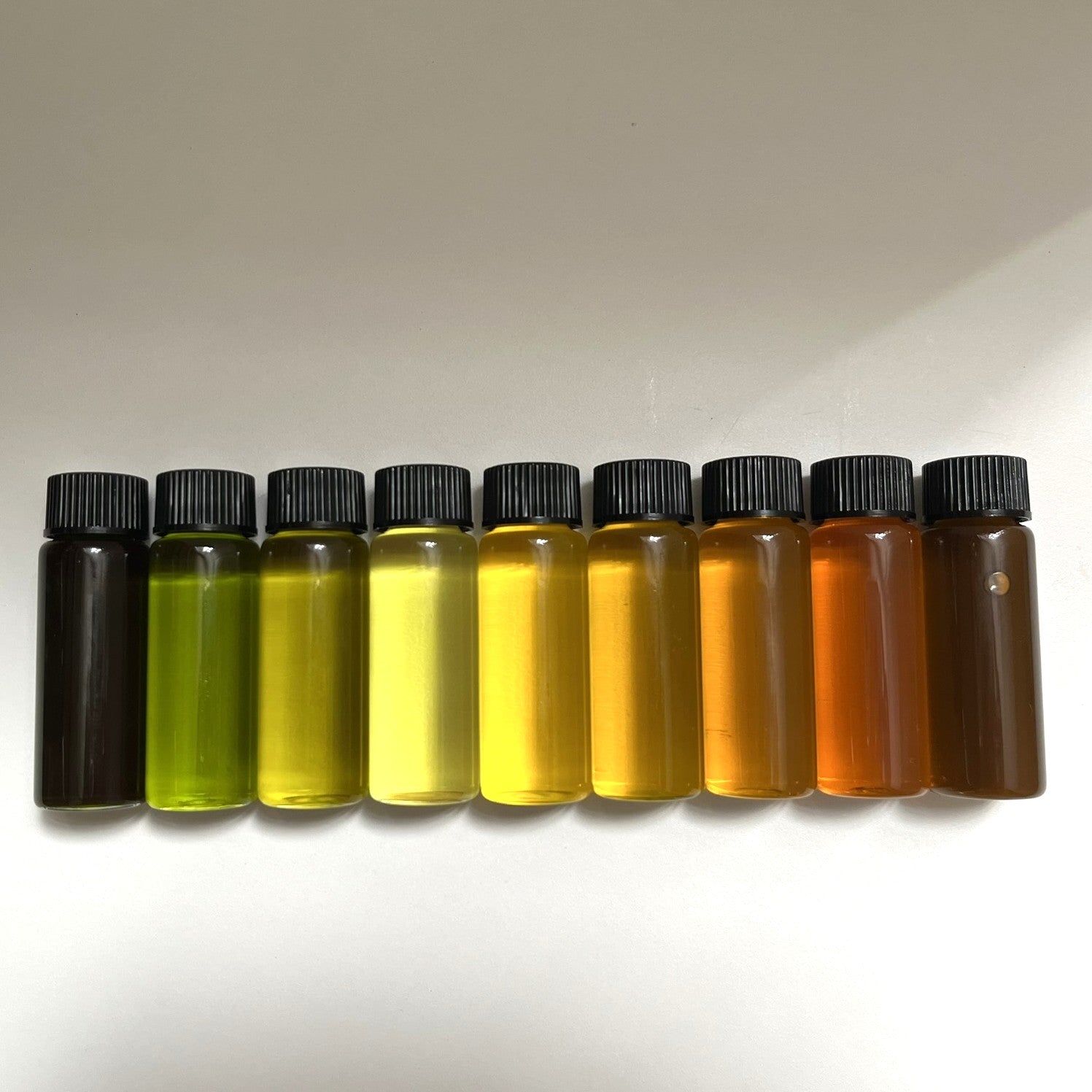 Oily Craft: Botanical oils (& tallow), herbal oils, balms & body butters in herbal skin care - Certified Online Course Series - February/March 2026