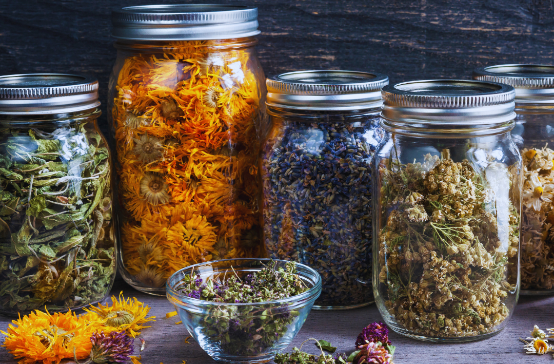 Jars of dried herbs