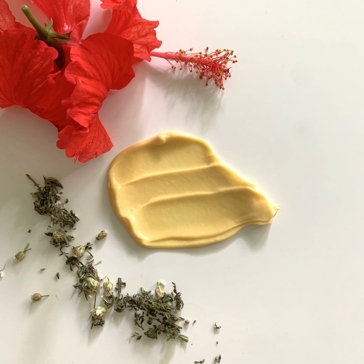 Yarrow & Hibiscus Creamy Moisturizer